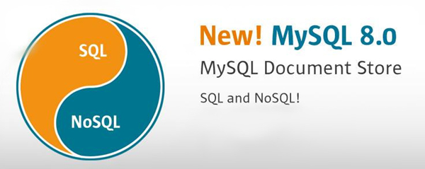【mysql数据库】MySQL数据库下载64位 v8.0.19 免费中文破解版插图3