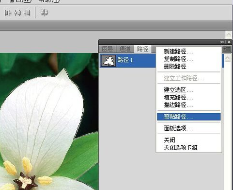 Adobe Illustrator CS6官方简体中文版怎么抠图