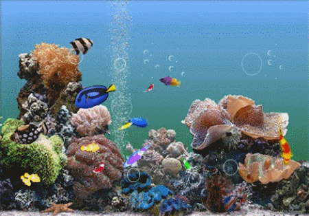 海底世界动态屏保