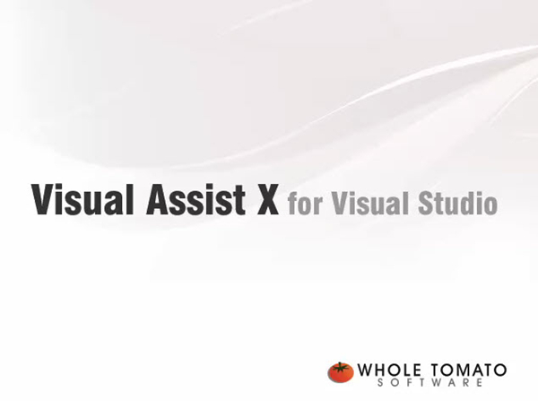 visual assist x破解版