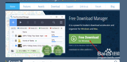 【fdm下载器】Free Download Manager(fdm下载器) v5.1.38 官方中文版插图13