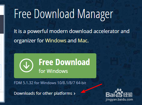 【fdm下载器】Free Download Manager(fdm下载器) v5.1.38 官方中文版插图14