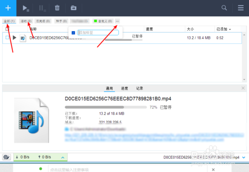 【fdm下载器】Free Download Manager(fdm下载器) v5.1.38 官方中文版插图22