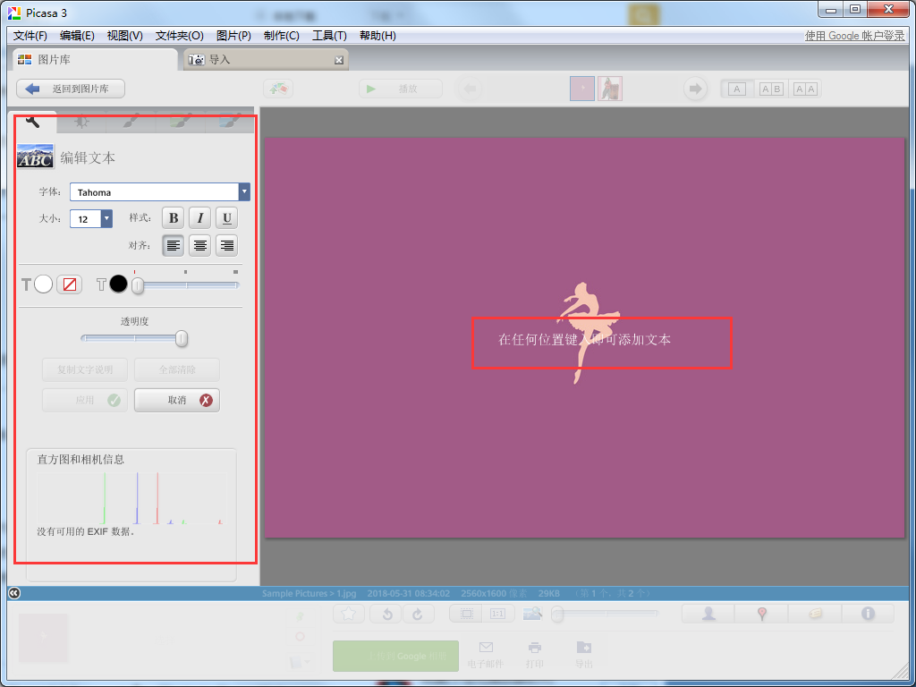 Picasa中文版使用教程截图
