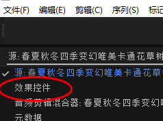 Pr2019中文版免费破解版怎么打关键帧