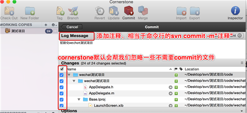 【CornerStone激活版】CornerStone软件下载(SVN管理工具) v4.2.0 最新激活版插图8