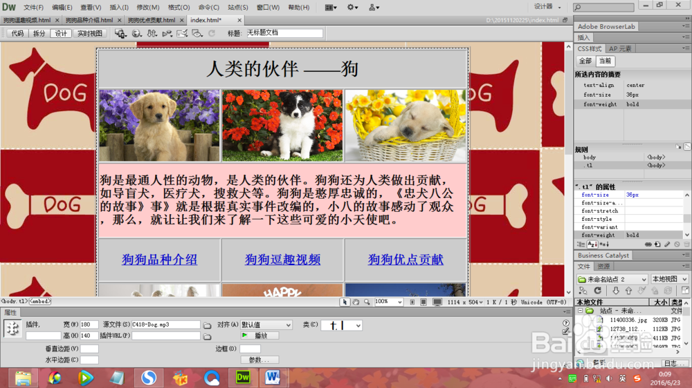 【Dreamweaver CC 2020激活版】Adobe Dreamweaver CC 2020 中文激活版插图5