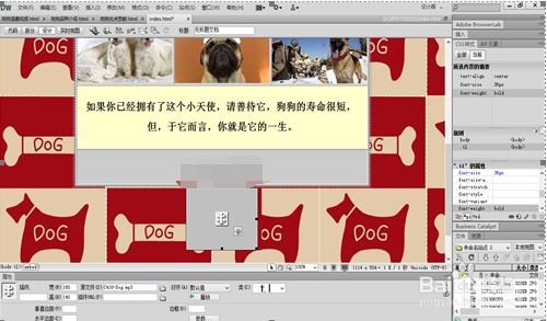 【Dreamweaver CC 2020激活版】Adobe Dreamweaver CC 2020 中文激活版插图6