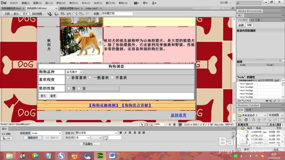 【Dreamweaver CC 2020激活版】Adobe Dreamweaver CC 2020 中文激活版插图10