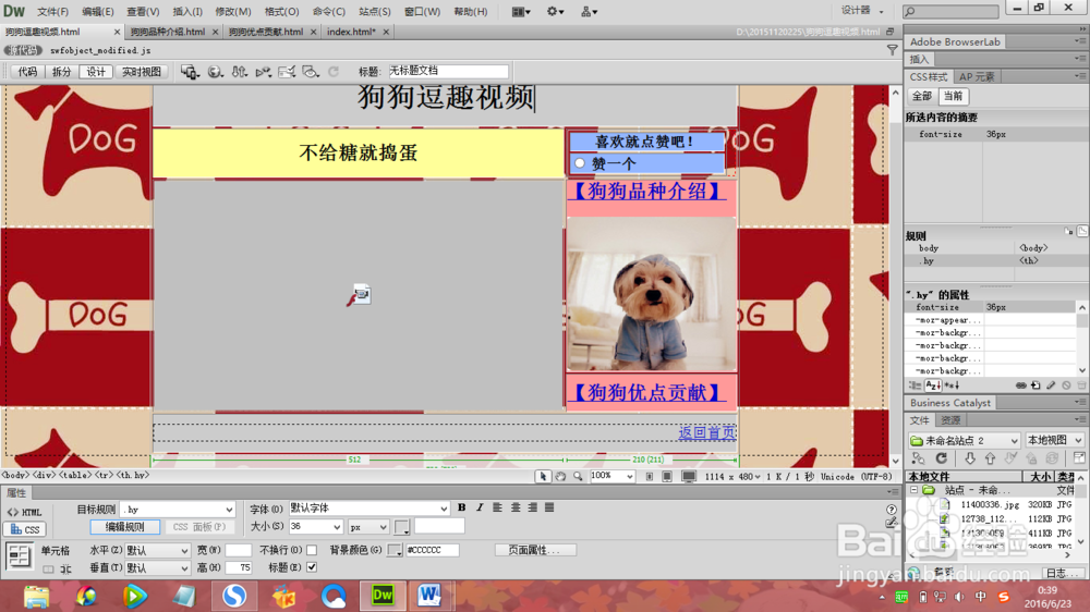 【Dreamweaver CC 2020激活版】Adobe Dreamweaver CC 2020 中文激活版插图12