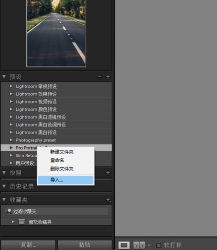 Lightroom中文免费版如何导入预设