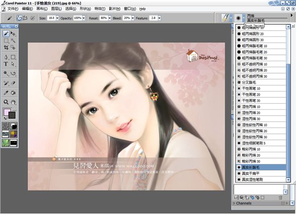 【Corel Painter下载】Corel Painter 11 绿色激活版插图