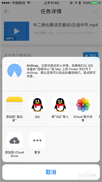 【迅雷ios版下载2019】迅雷ios版下载beta版2019 v6.67 稳定内测版插图16