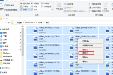 Vivo手机助手怎么导出视频