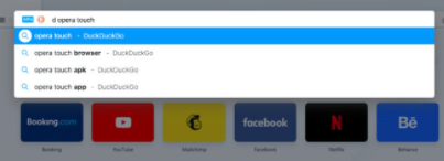 Opera浏览器便携版搜索3