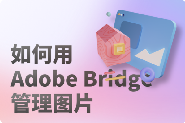 如何用Adobe Bridge管理图片1