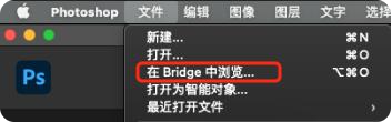 如何用Adobe Bridge管理图片2