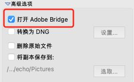 如何用Adobe Bridge从相机中下载图像10