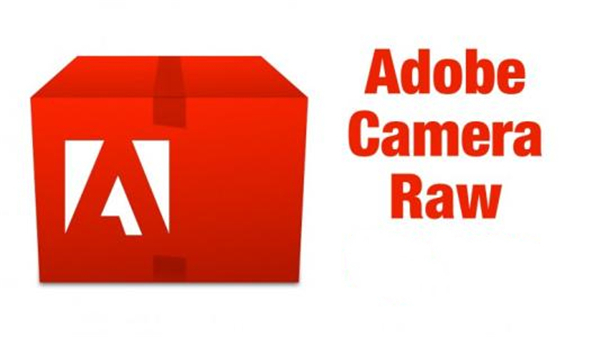 Adobe Camera Raw最新版截图