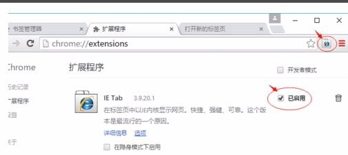 谷歌浏览器中文版使用方法10