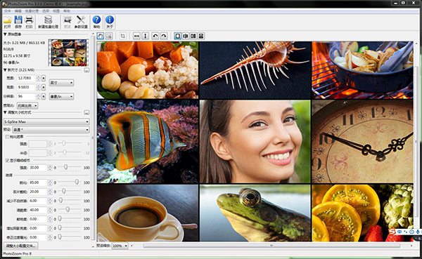 photozoom pro8破解版