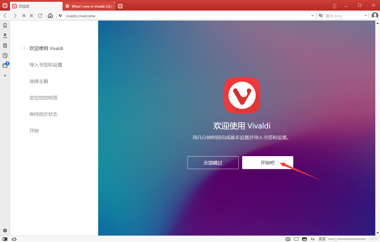 Vivaldi浏览器PC版截图1