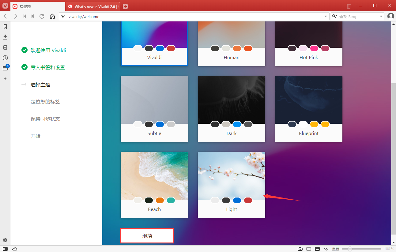 Vivaldi浏览器PC版截图4