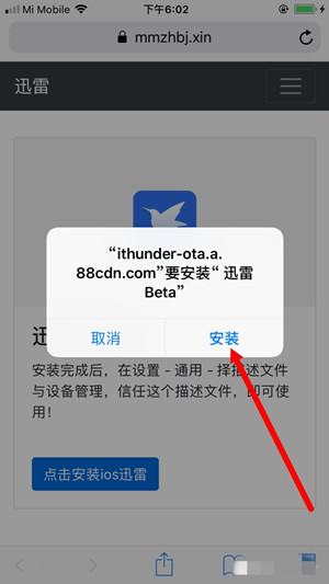 迅雷ios版下载beta免费