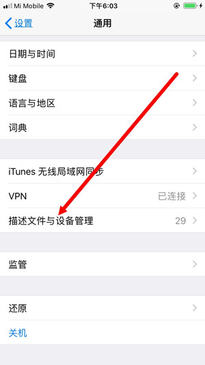 迅雷ios版下载beta