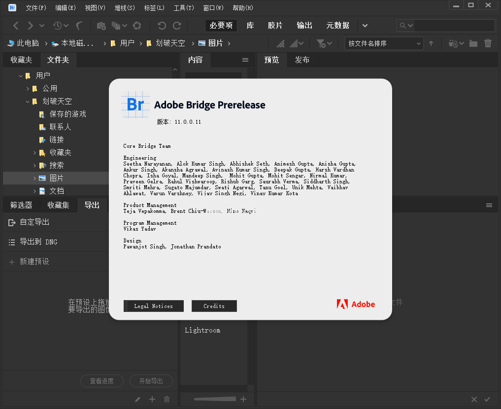 Adobe Bridge2021最新版本截图