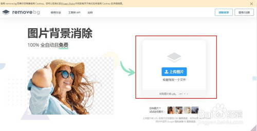 Removebg怎么抠图