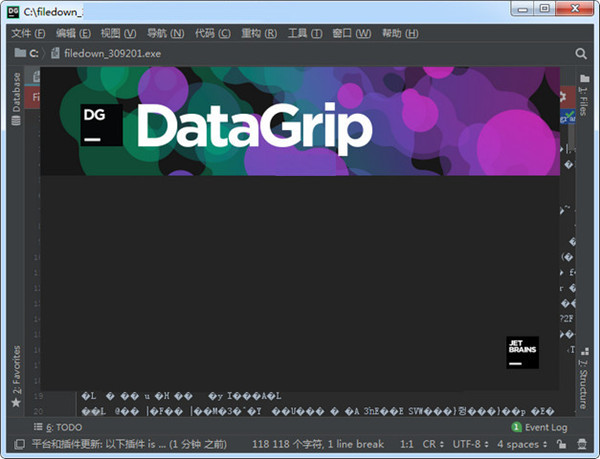 JetBrains DataGrip2020破解版截图