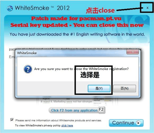 【WhiteSmoke激活版】WhiteSmoke激活版网盘下载 v2.0.6028.24 完美中文版(附注册码)插图2