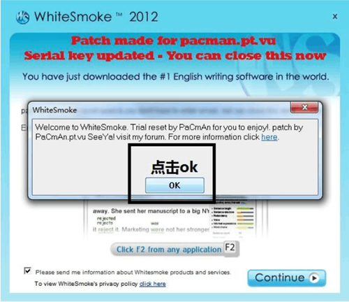 【WhiteSmoke激活版】WhiteSmoke激活版网盘下载 v2.0.6028.24 完美中文版(附注册码)插图3