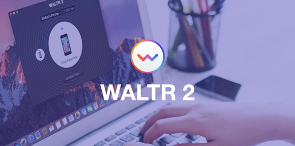 Waltr2破解版