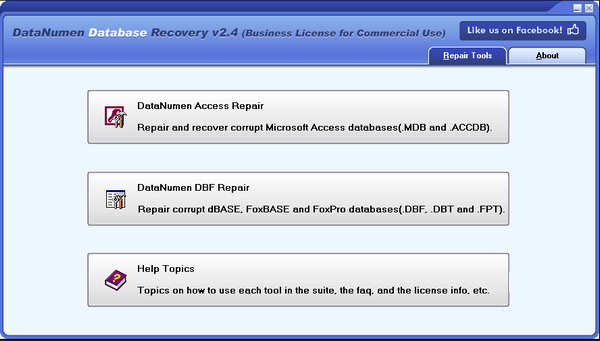 DataNumen Database Recovery免费版