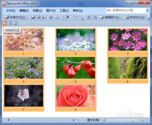 【picture manager下载】Microsoft Picture Manager v2003 免费中文版插图4