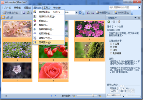 【picture manager下载】Microsoft Picture Manager v2003 免费中文版插图5
