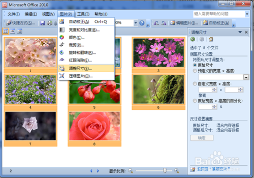 【picture manager下载】Microsoft Picture Manager v2003 免费中文版插图6