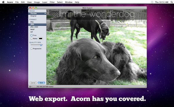 【Acorn激活版】Acorn for mac下载 v6.5.2 汉化激活版插图1
