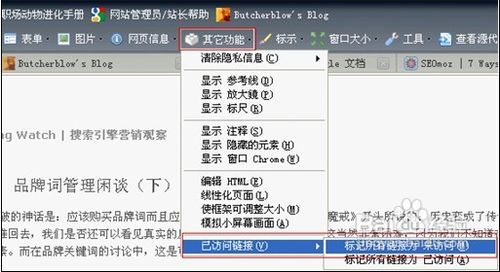 【web developer下载】Web Developer插件(web开发者工具) v0.4.6 简体中文版插图8