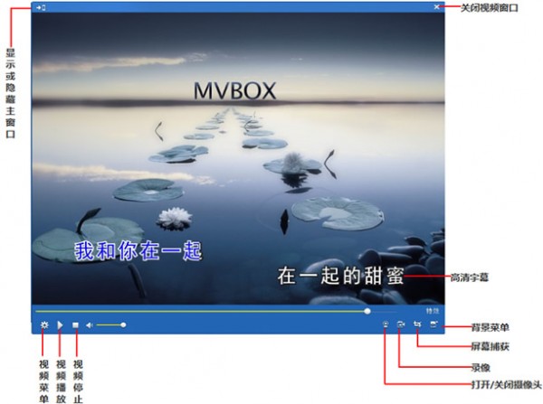 MvBox最新版界面解析截图