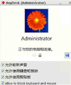 AnyDesk中文版使用教程截图