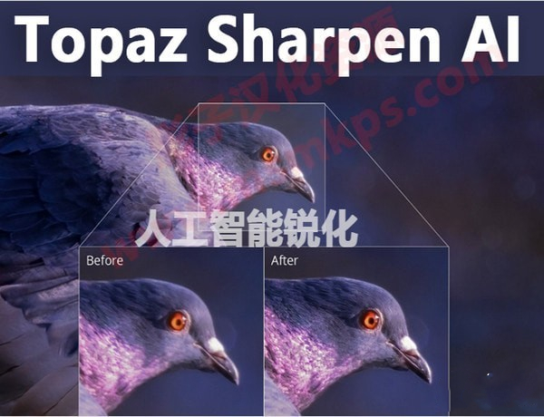 Topaz Sharpen AI截图