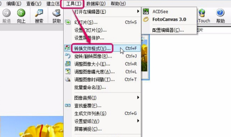ACDSee2020中文破解版怎么转换格式