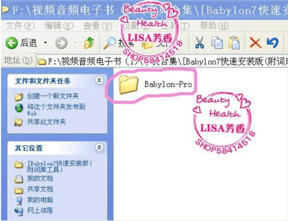 【babylon翻译器】Babylon Pro软件下载 v11.0.1.3 中文专业版插图5