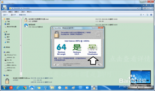 【SecurAble激活版下载】SecurAble测试工具(VT检测工具) v1.0.2570.1 绿色中文版插图9