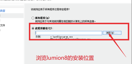 Lumion10.0中文破解版防火墙设置