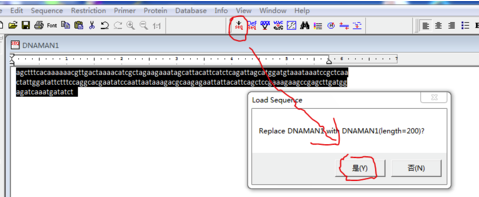 DNAMAN破解版怎么翻译氨基酸