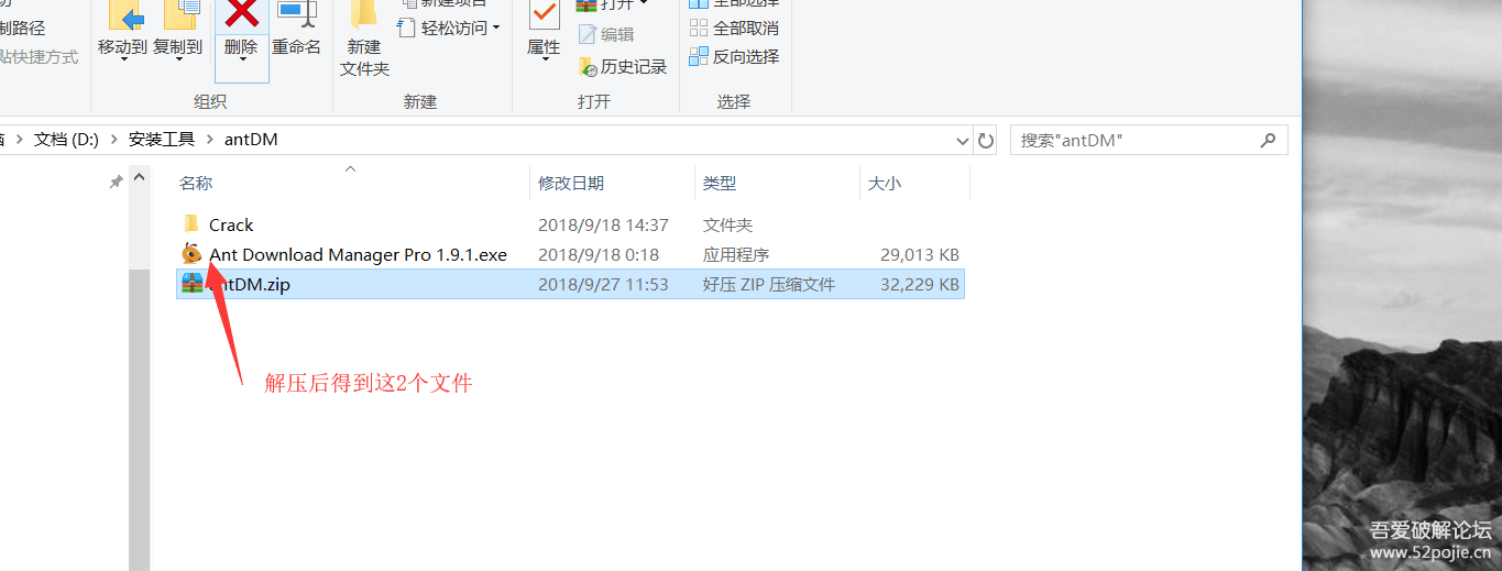 【蚂蚁下载器激活版】蚂蚁下载器激活版(Ant Download Manager) 中文激活版插图1